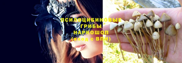 амф Белоозёрский