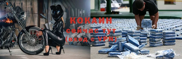 винт Абинск
