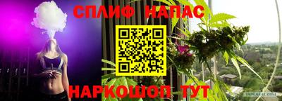спиды Канаш