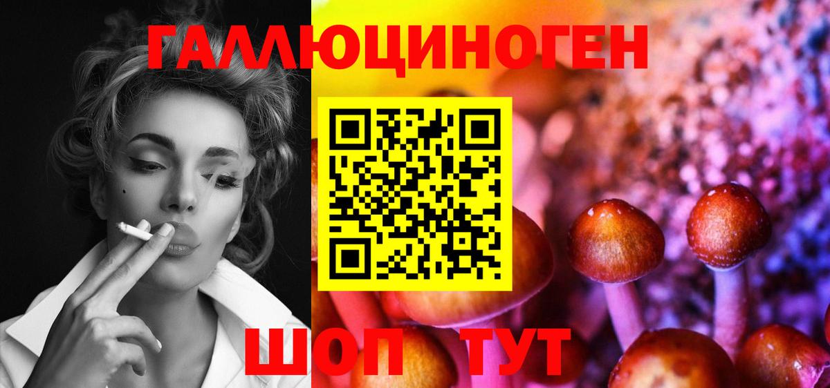 Псилоцибиновые грибы Psilocybe Бирск