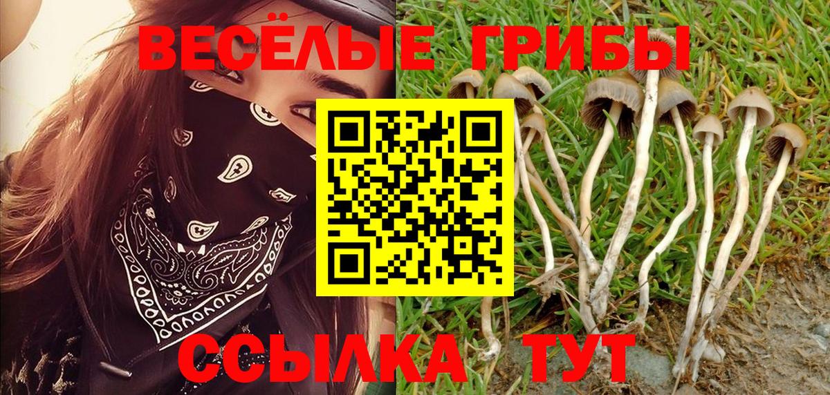 Бирск  цена наркотик  Вход с VPN  Галлюциногенные грибы GOLDEN TEACHER 